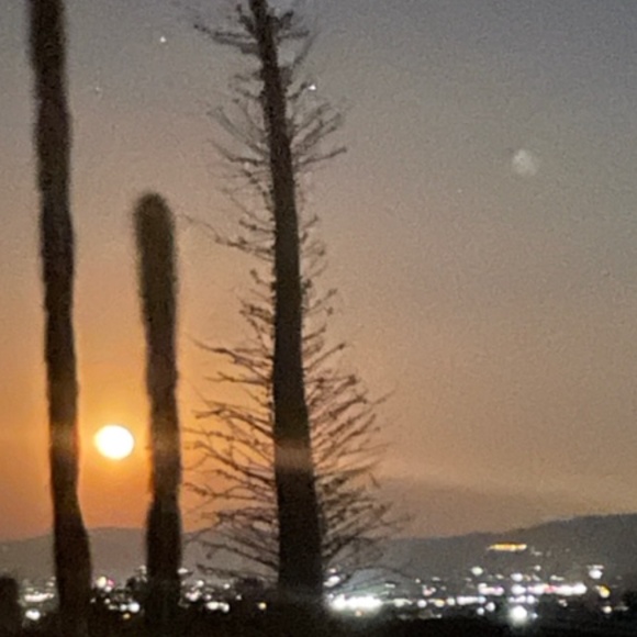 Lela Rose Dress - Picture 10 of 10